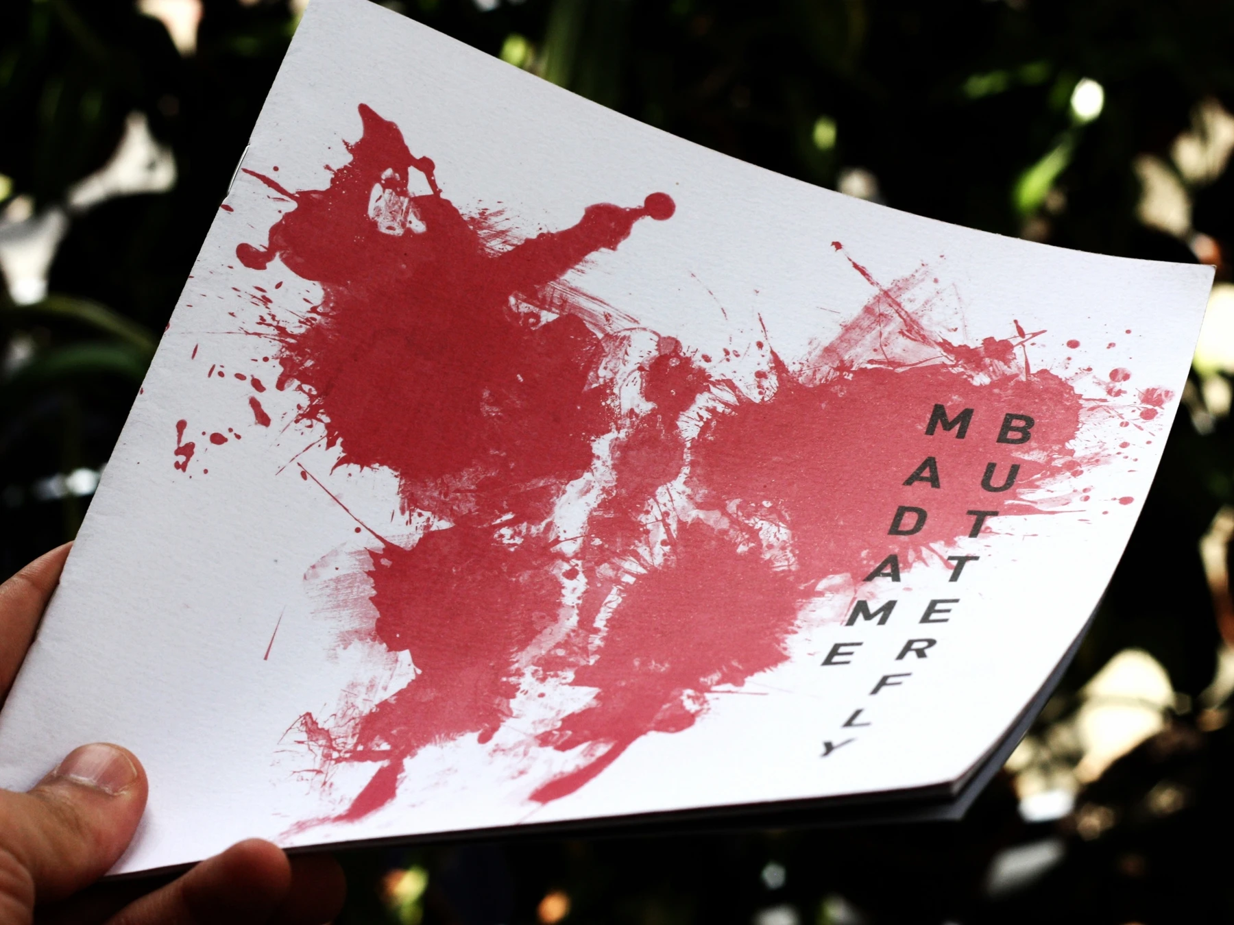 Madame Butterfly — image 4