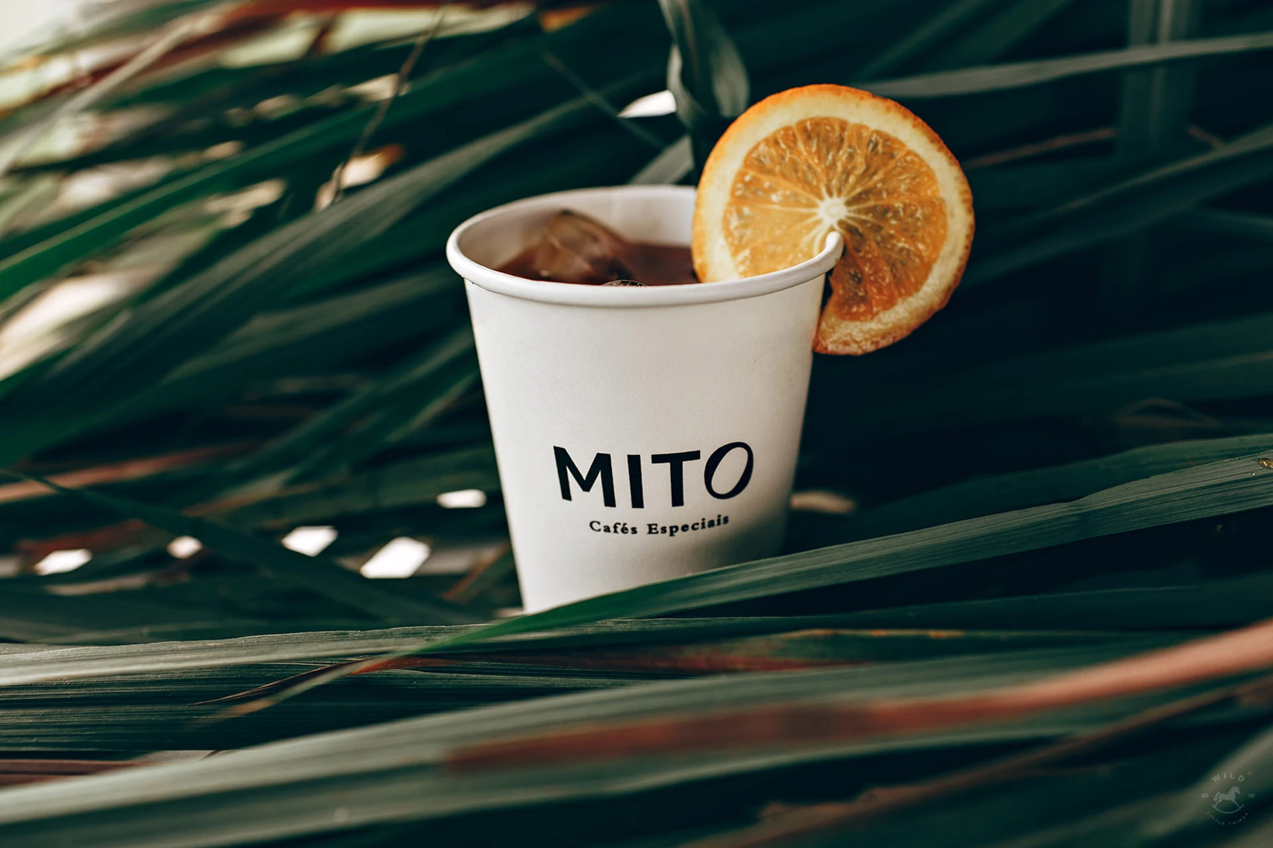 Mito — image 4