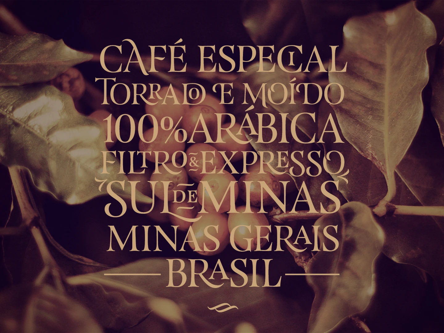 Grão Paraíso — image 6